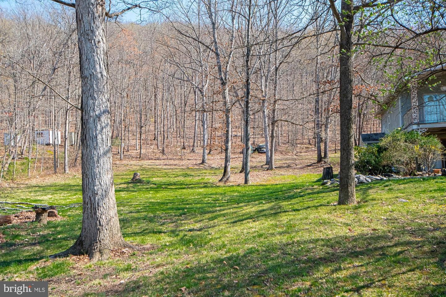 4792 Howellsville Road photo 9