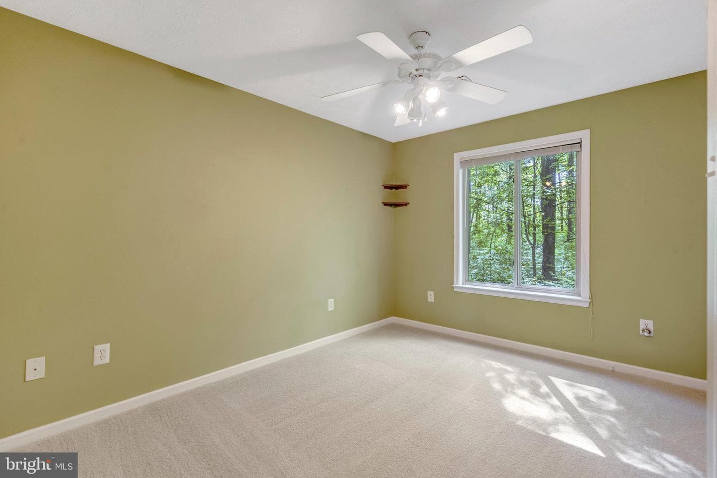 2942 Freezeland Road photo 16