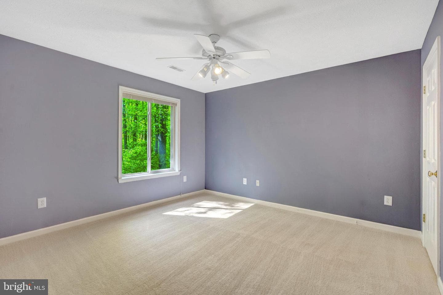 2942 Freezeland Road photo 17