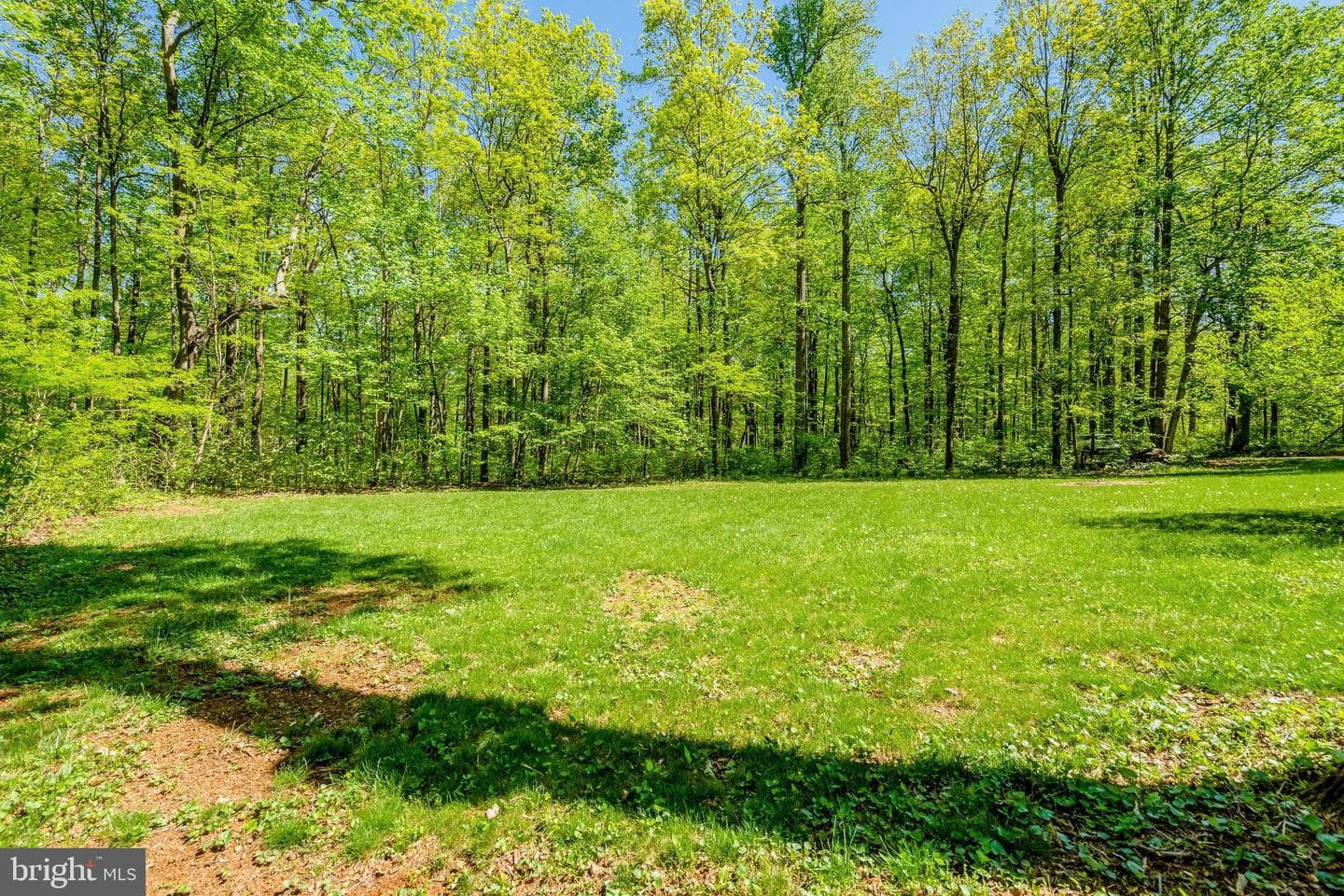 2942 Freezeland Road photo 24