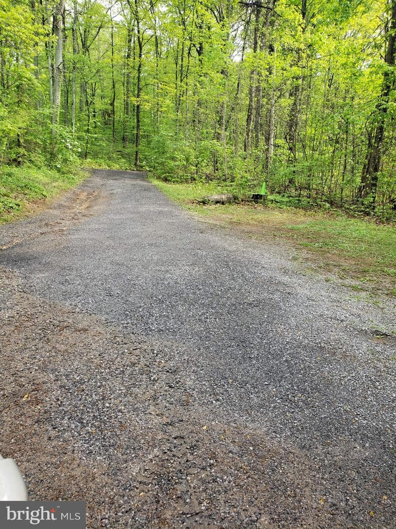 359 Old Linden Road photo 44