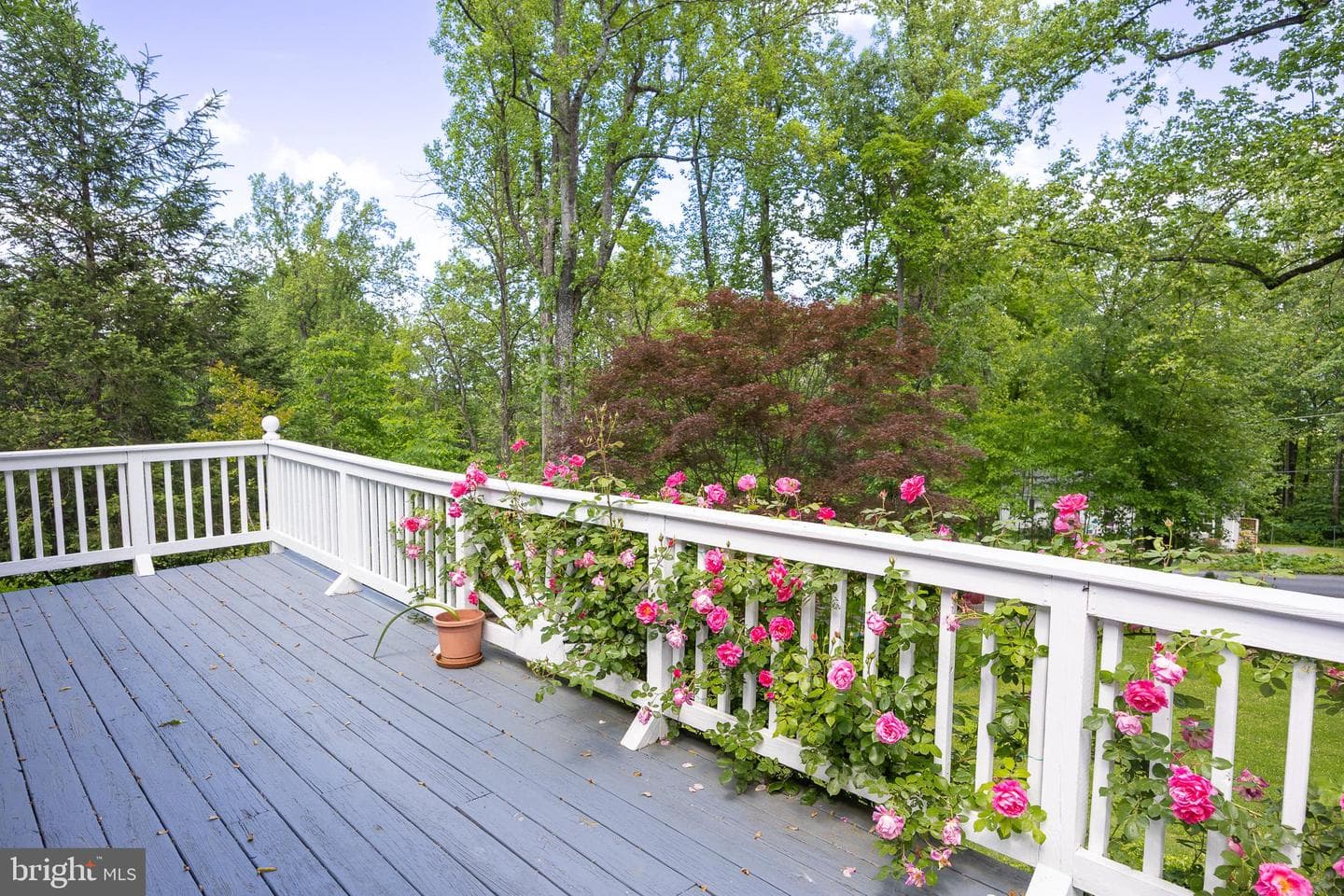 175 Mountain Heights Road photo 45