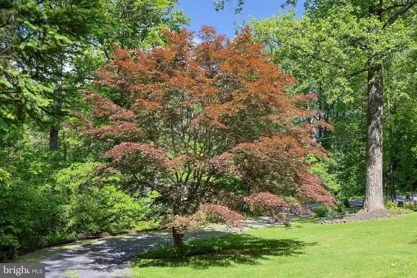 175 Mountain Heights Road photo 51