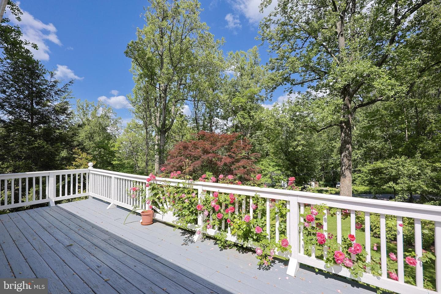 175 Mountain Heights Road photo 55