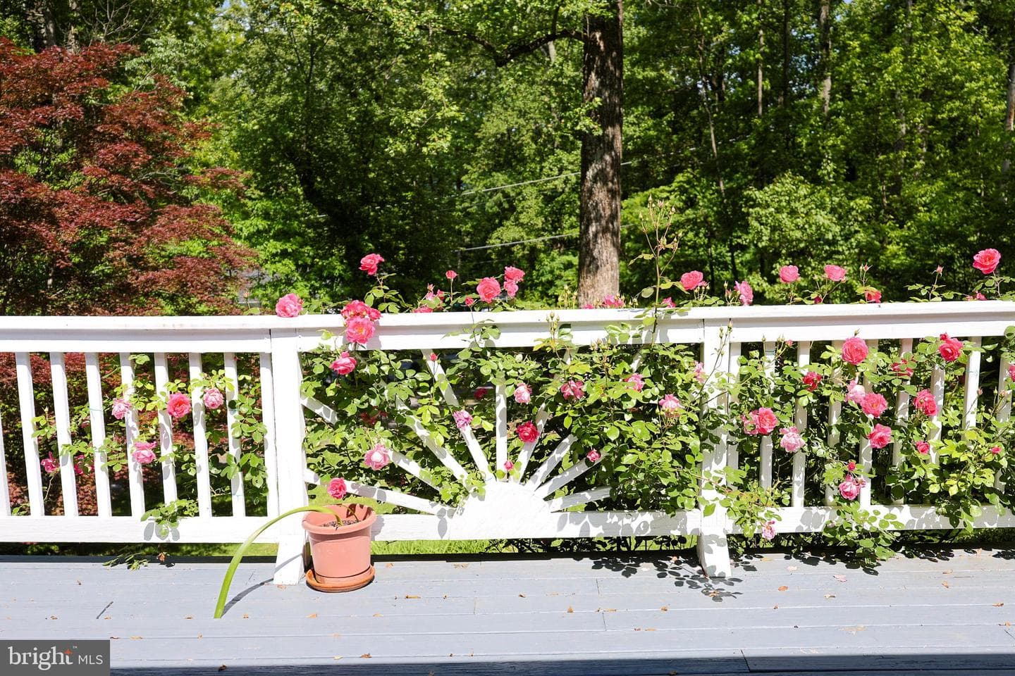 175 Mountain Heights Road photo 56