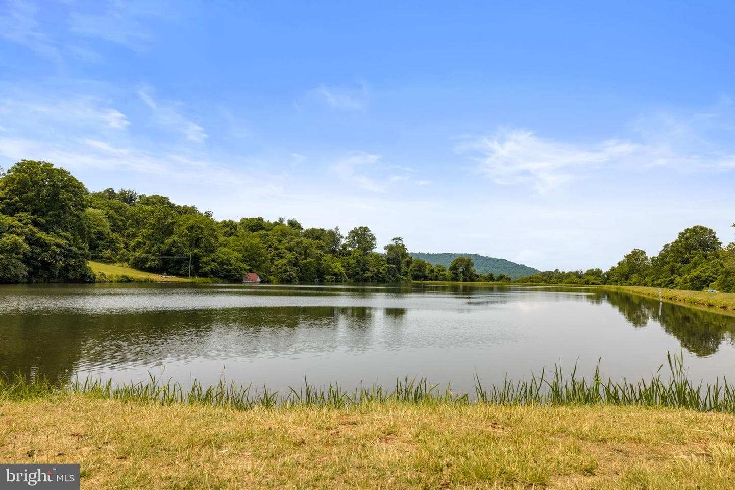 175 Mountain Heights Road photo 64