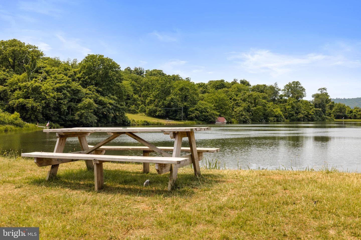175 Mountain Heights Road photo 65