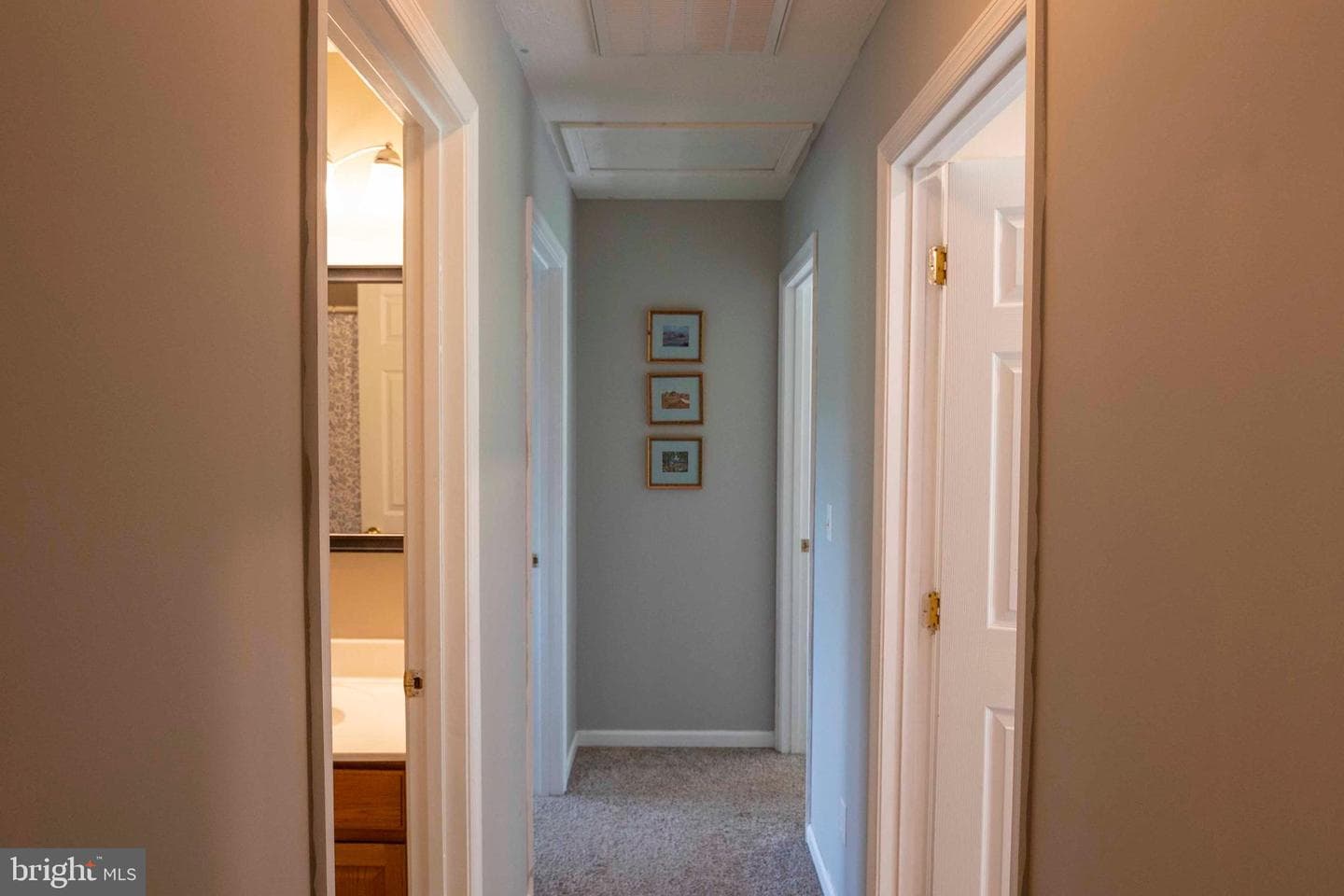 1408 Western Ln photo 24