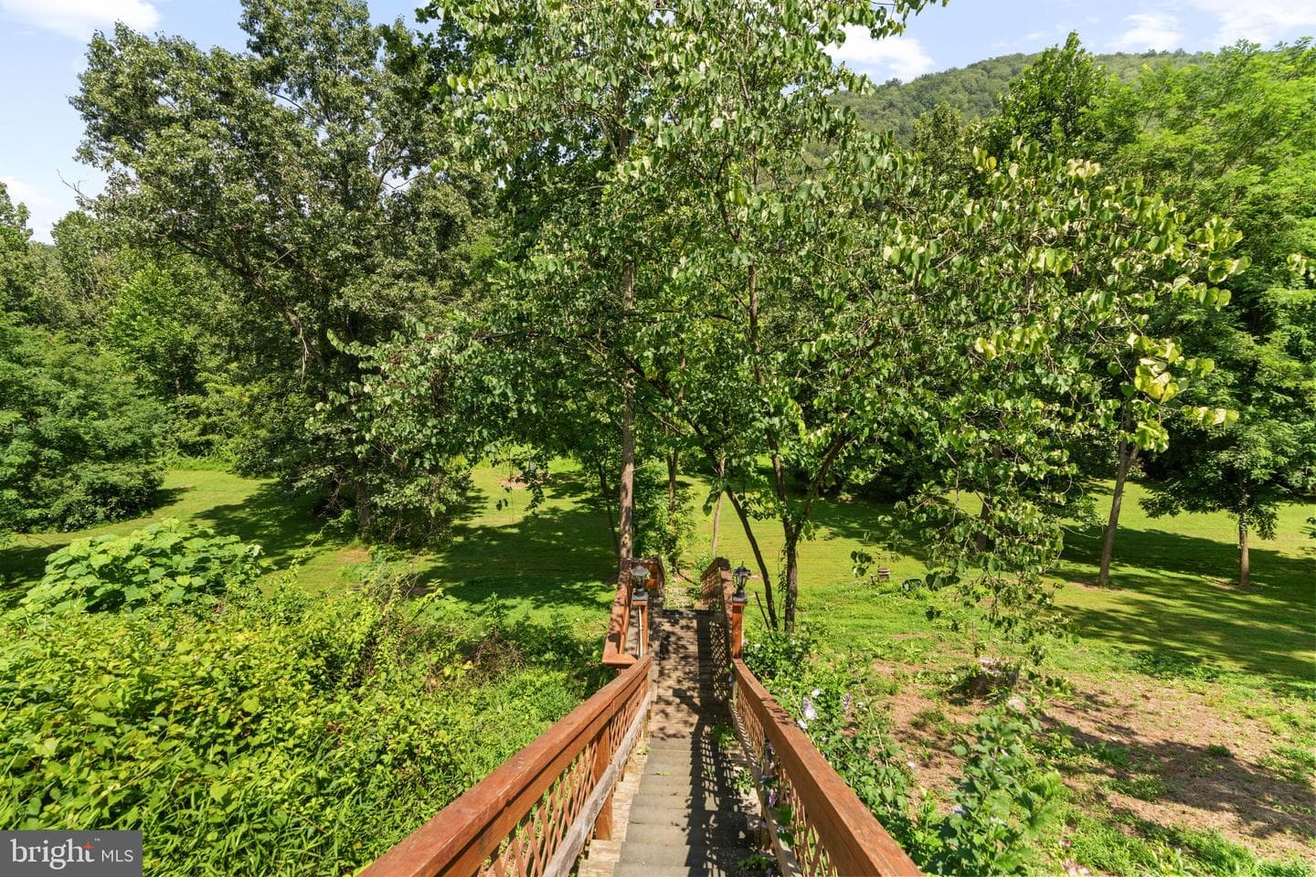 2037 Buck Mountain Road photo 47