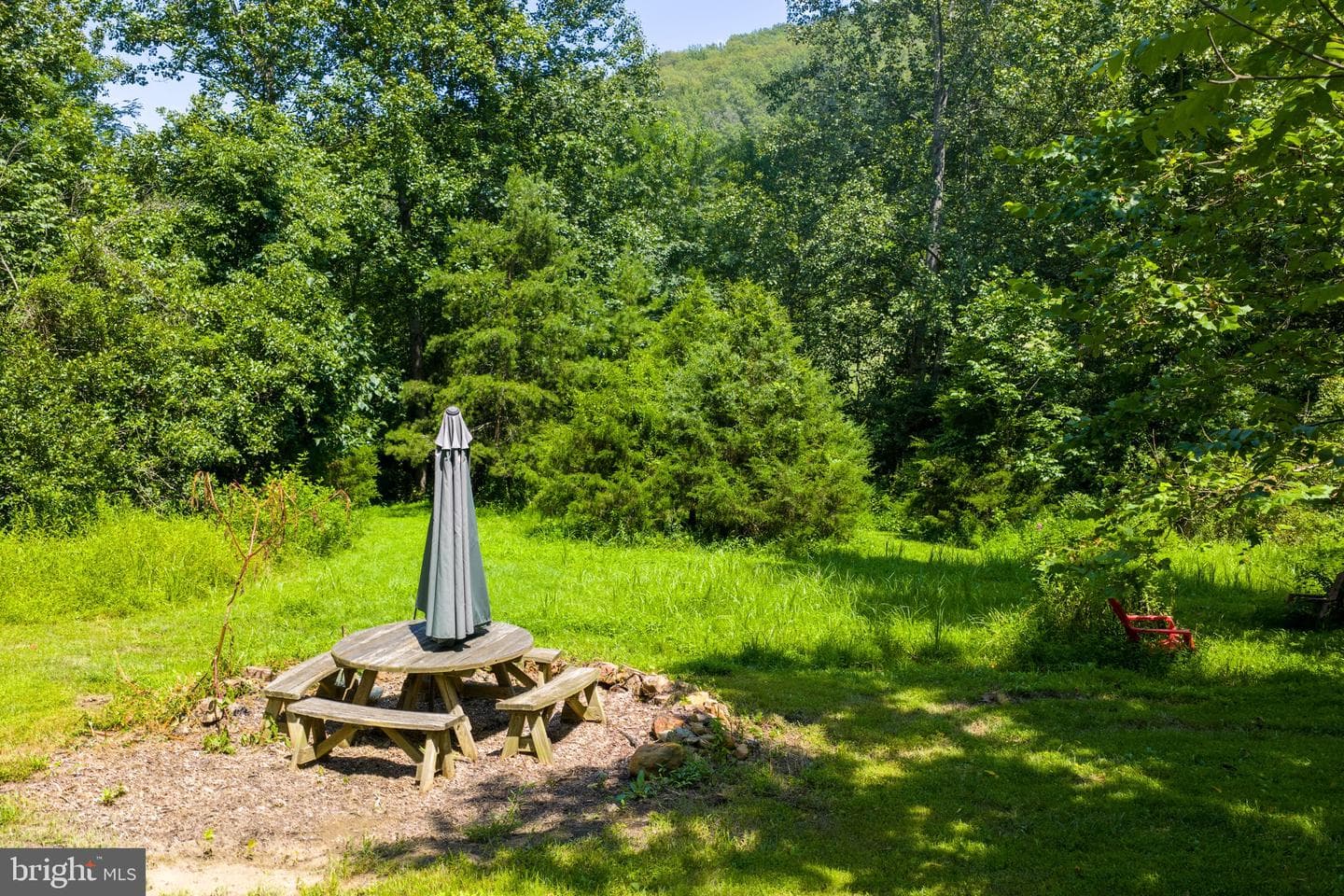 2037 Buck Mountain Road photo 53