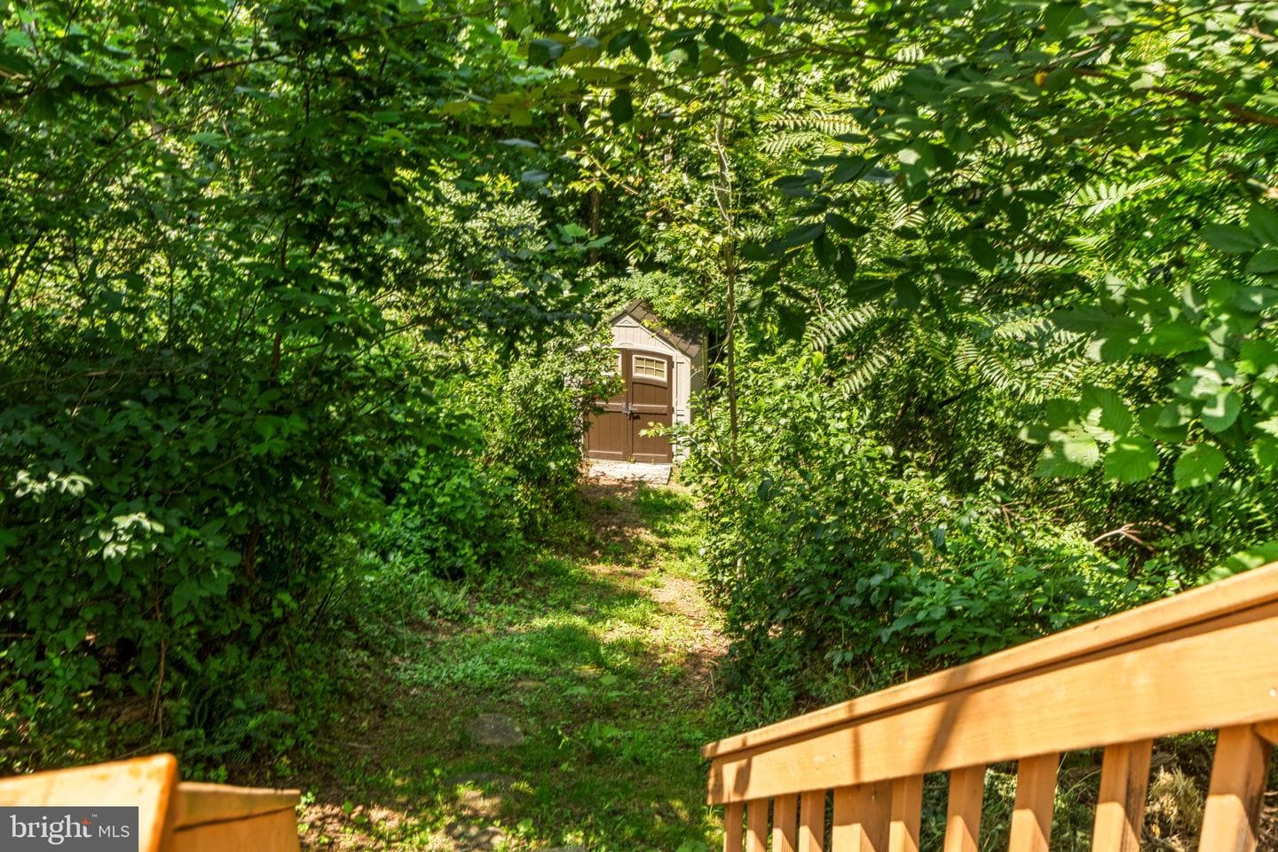 2037 Buck Mountain Road photo 56