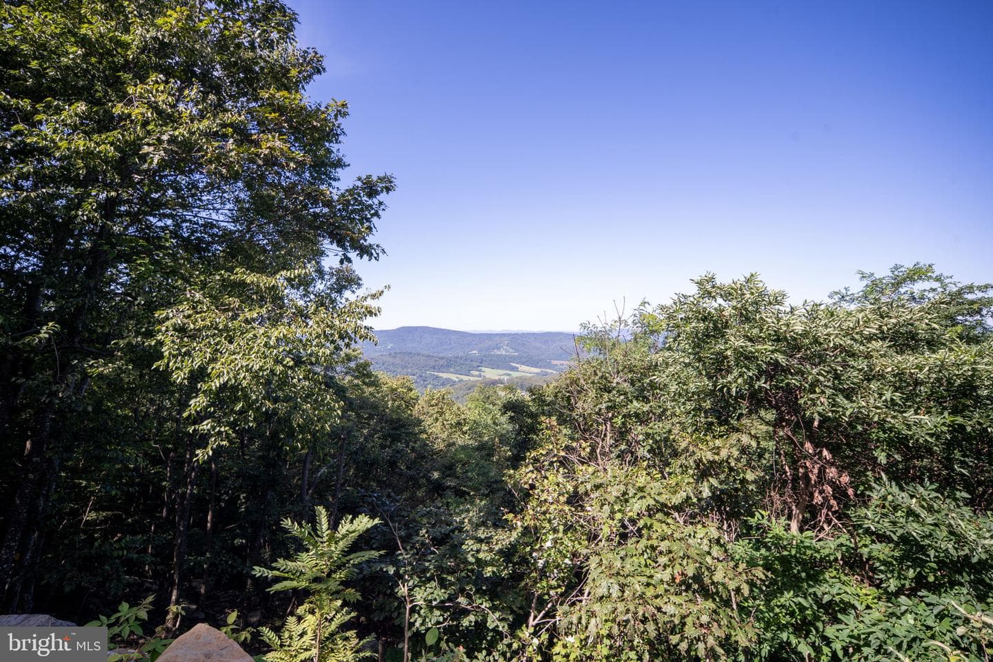 464 Shenandoah Valley Drive photo 61