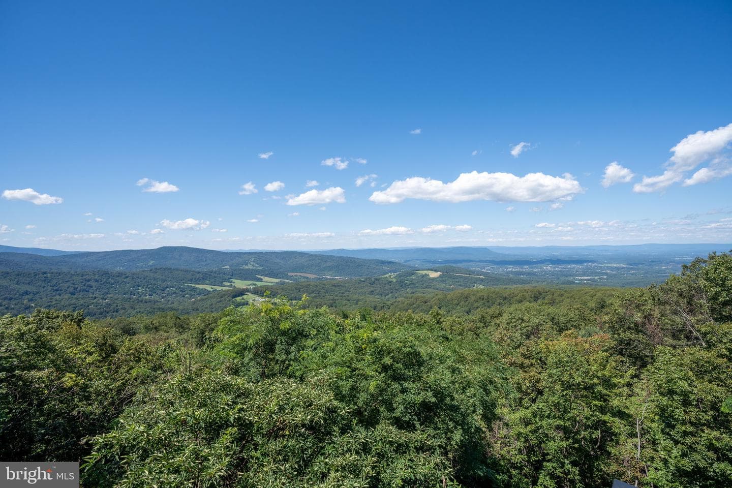 464 Shenandoah Valley Drive photo 76