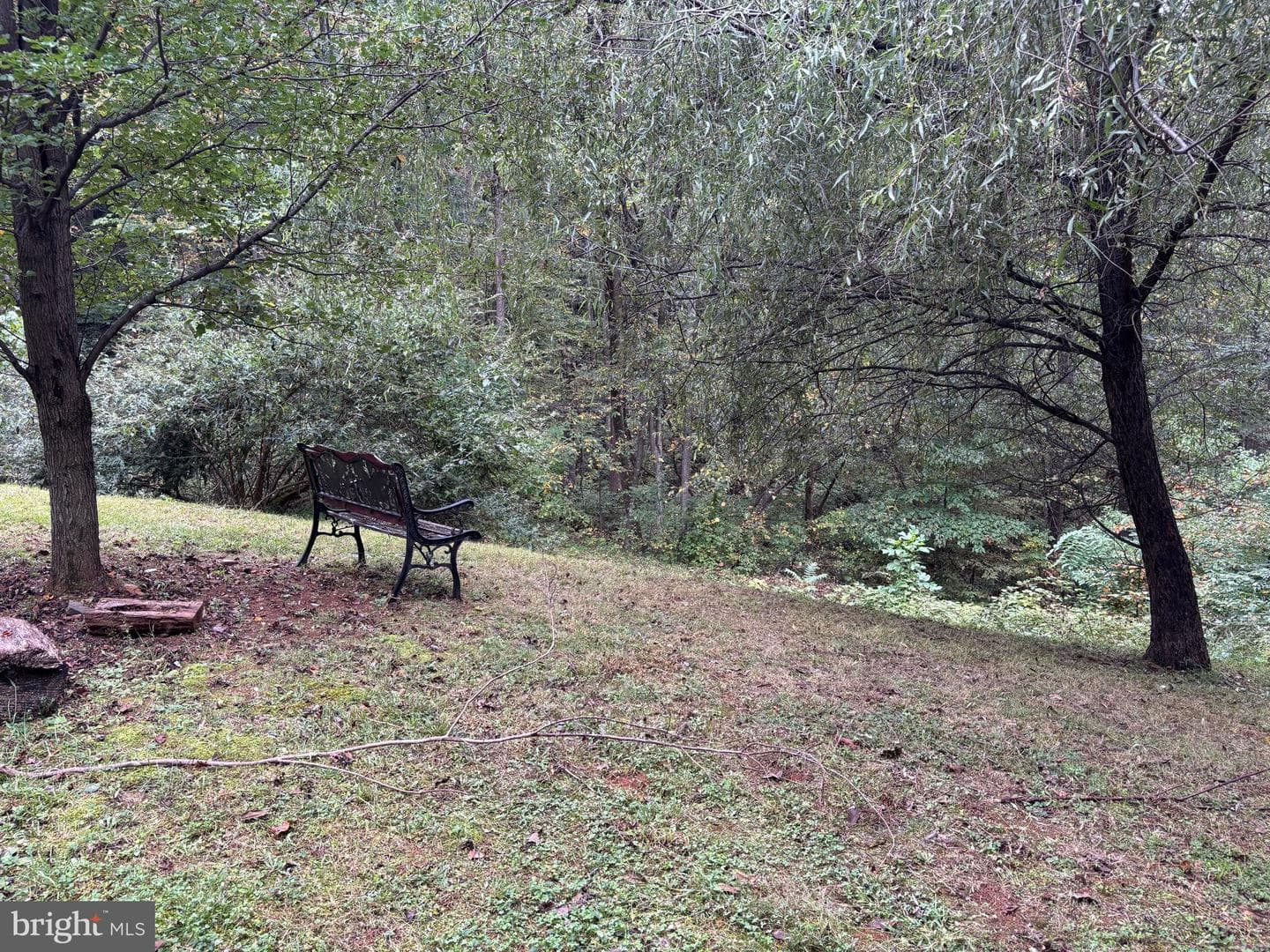 503 Pomeroy photo 22