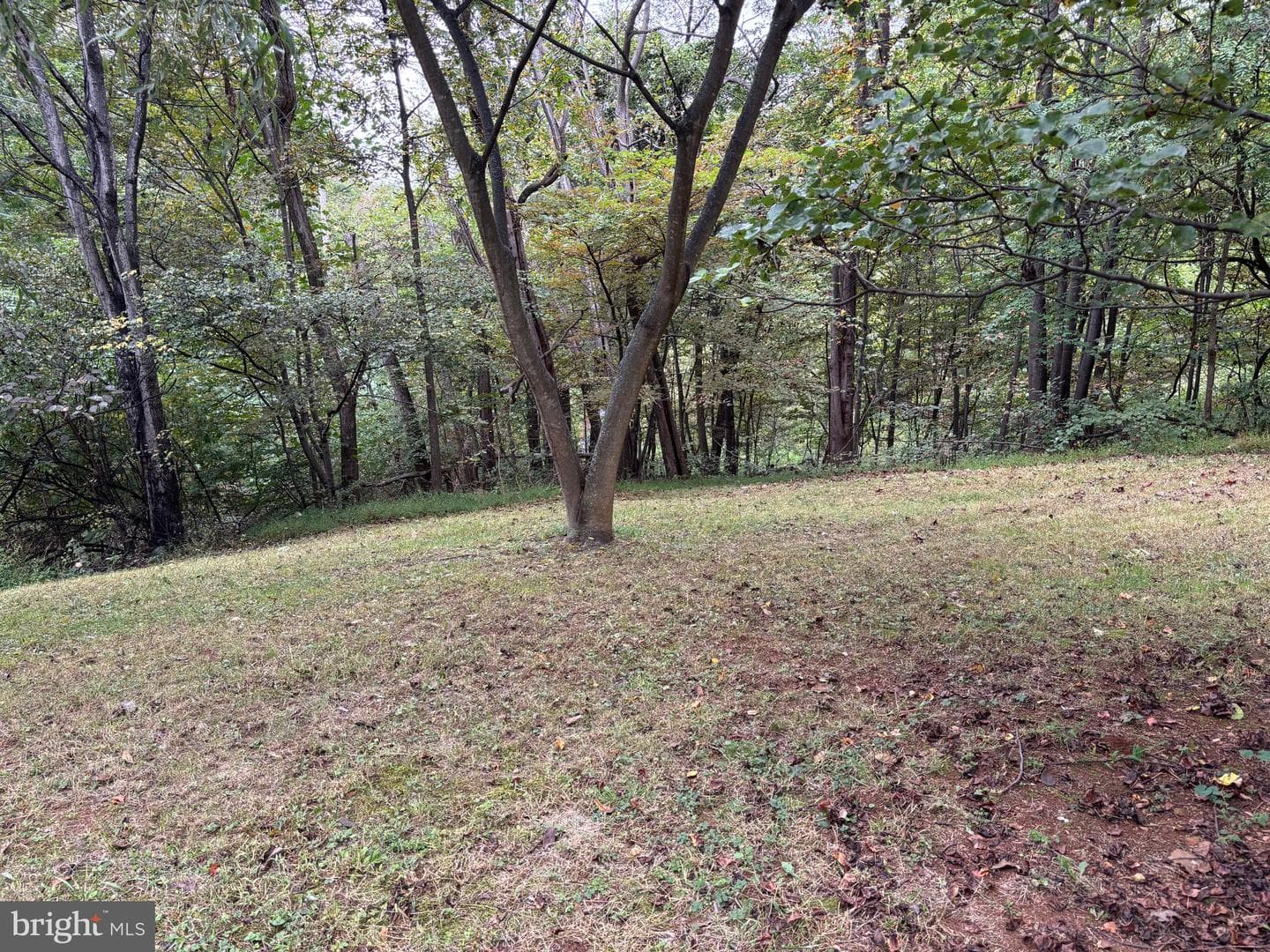 503 Pomeroy photo 23