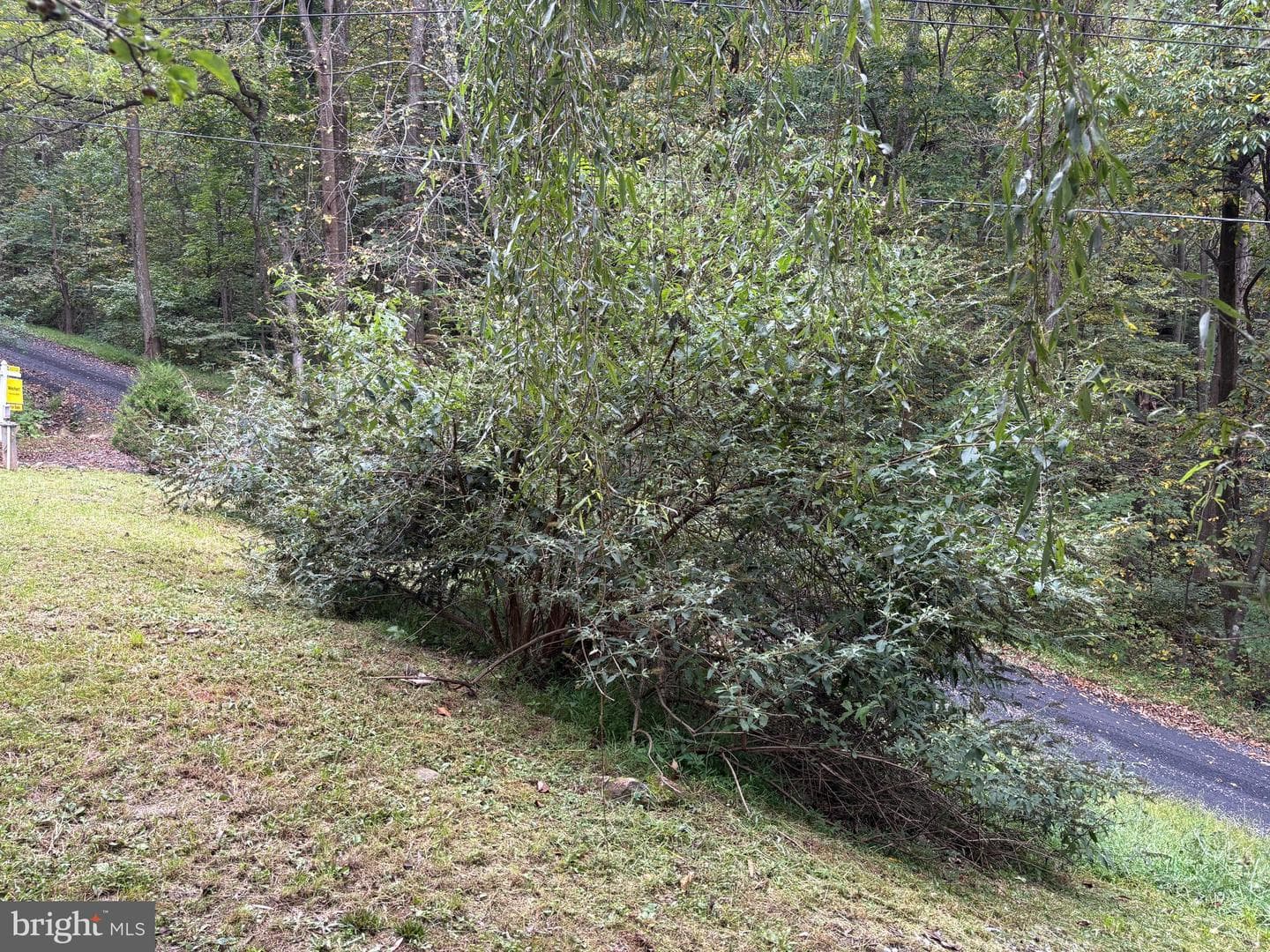 503 Pomeroy photo 6
