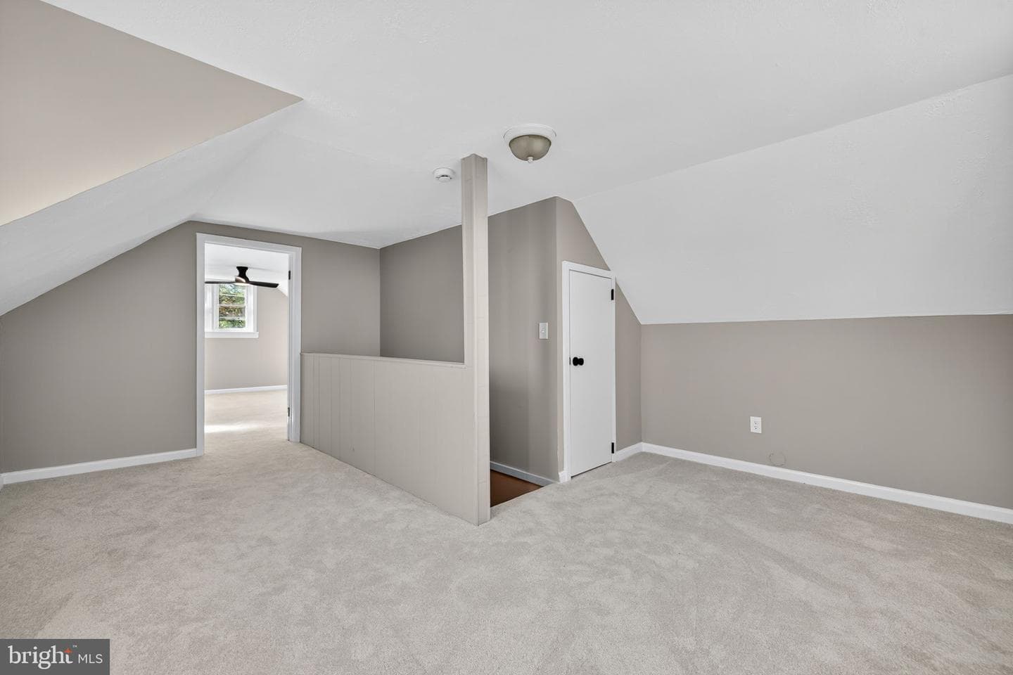 839 William Street photo 21