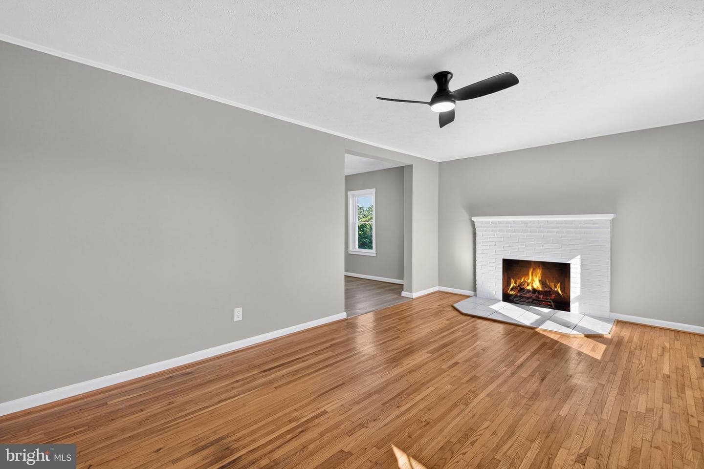 839 William Street photo 45