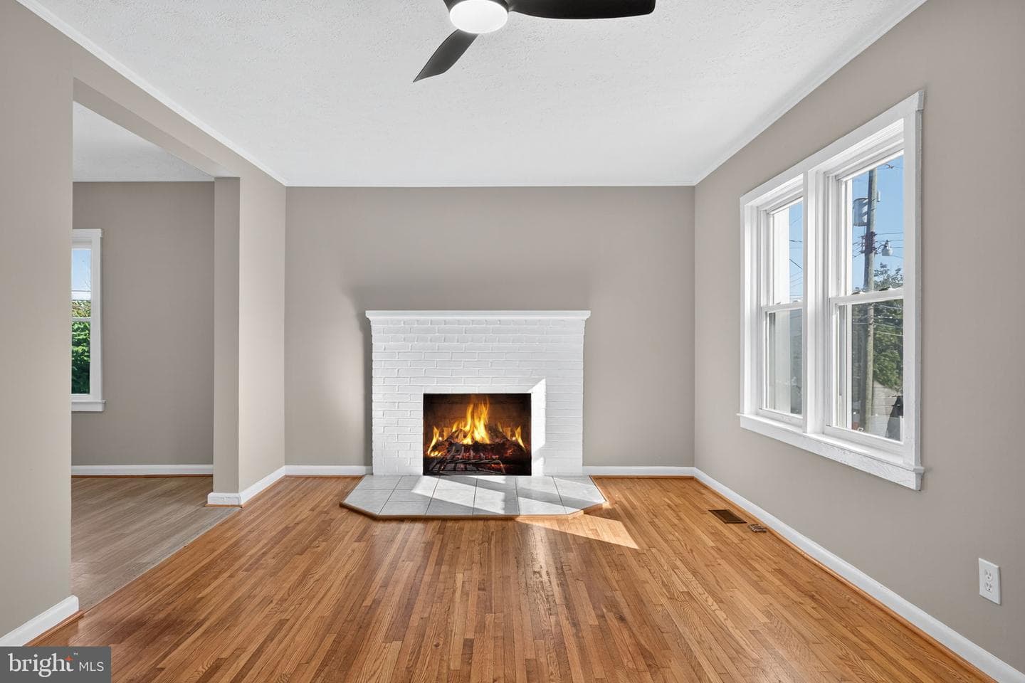 839 William Street photo 46