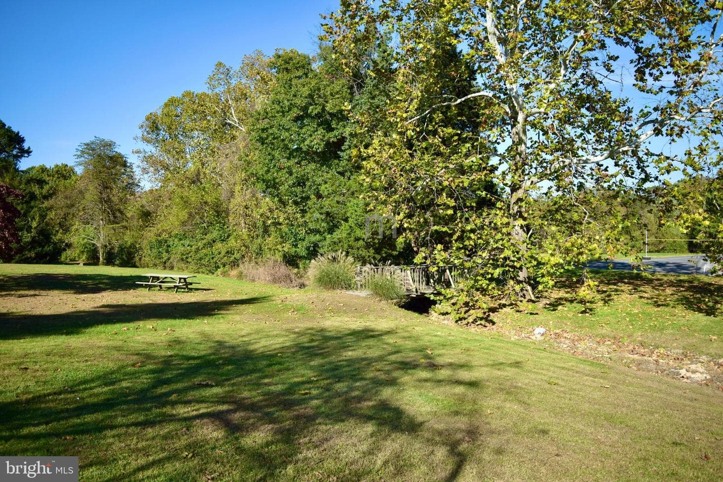 676 Western photo 31