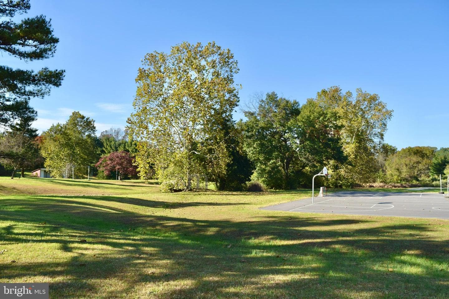 676 Western photo 33