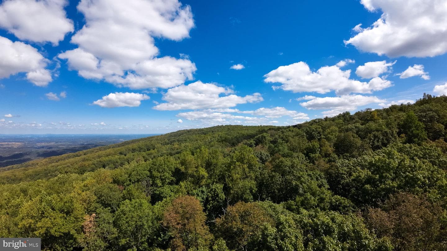 4769 Blue Mountain Road photo 3