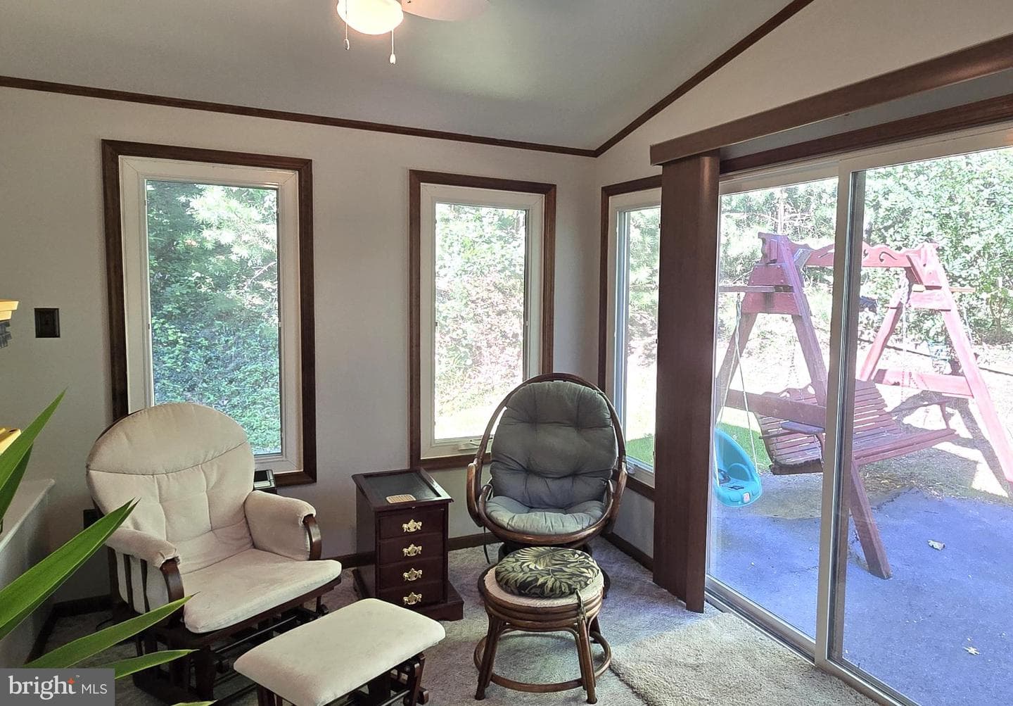 152 Richmond Road photo 19