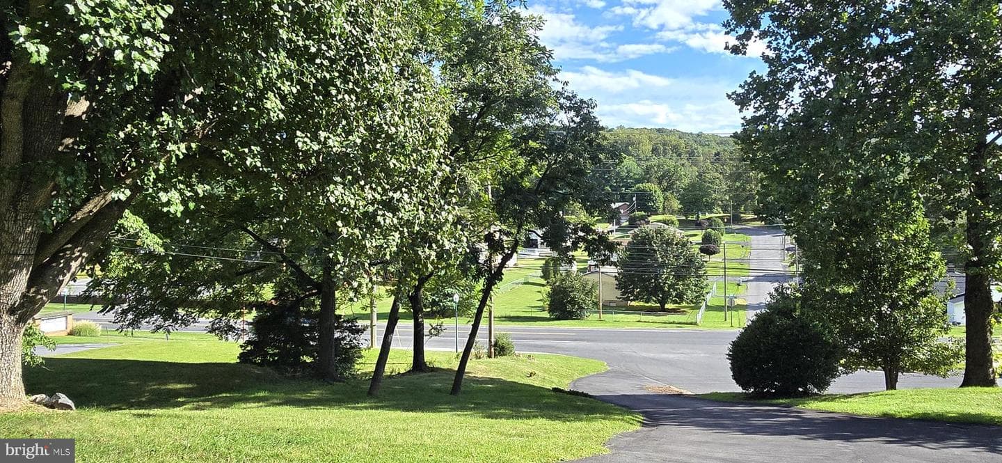 152 Richmond Road photo 2