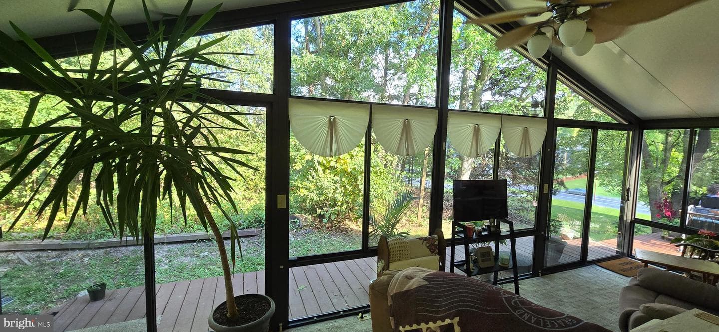 152 Richmond Road photo 20