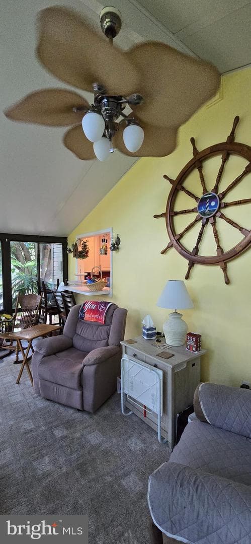 152 Richmond Road photo 24
