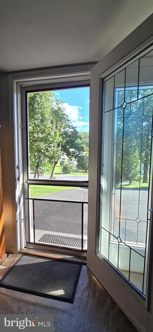 152 Richmond Road photo 27