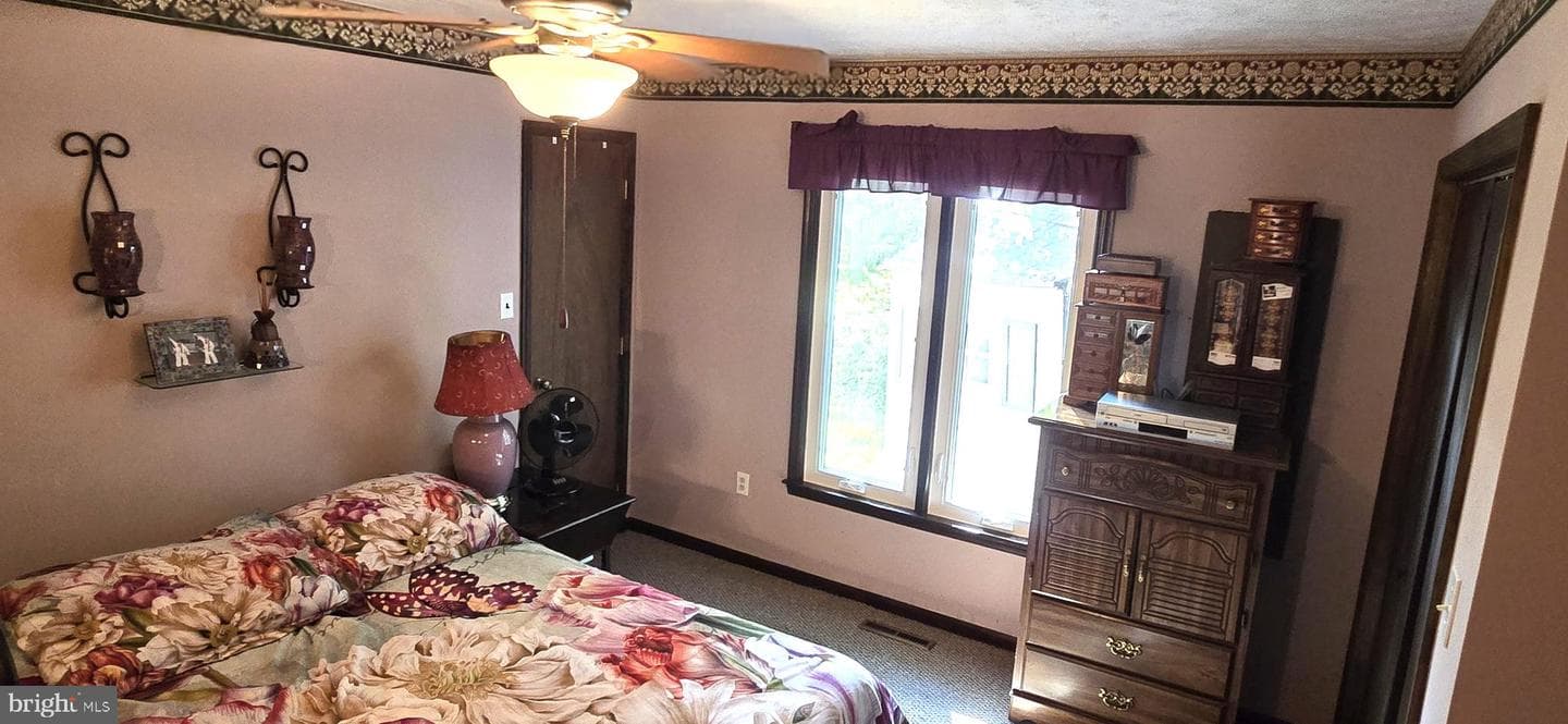 152 Richmond Road photo 29