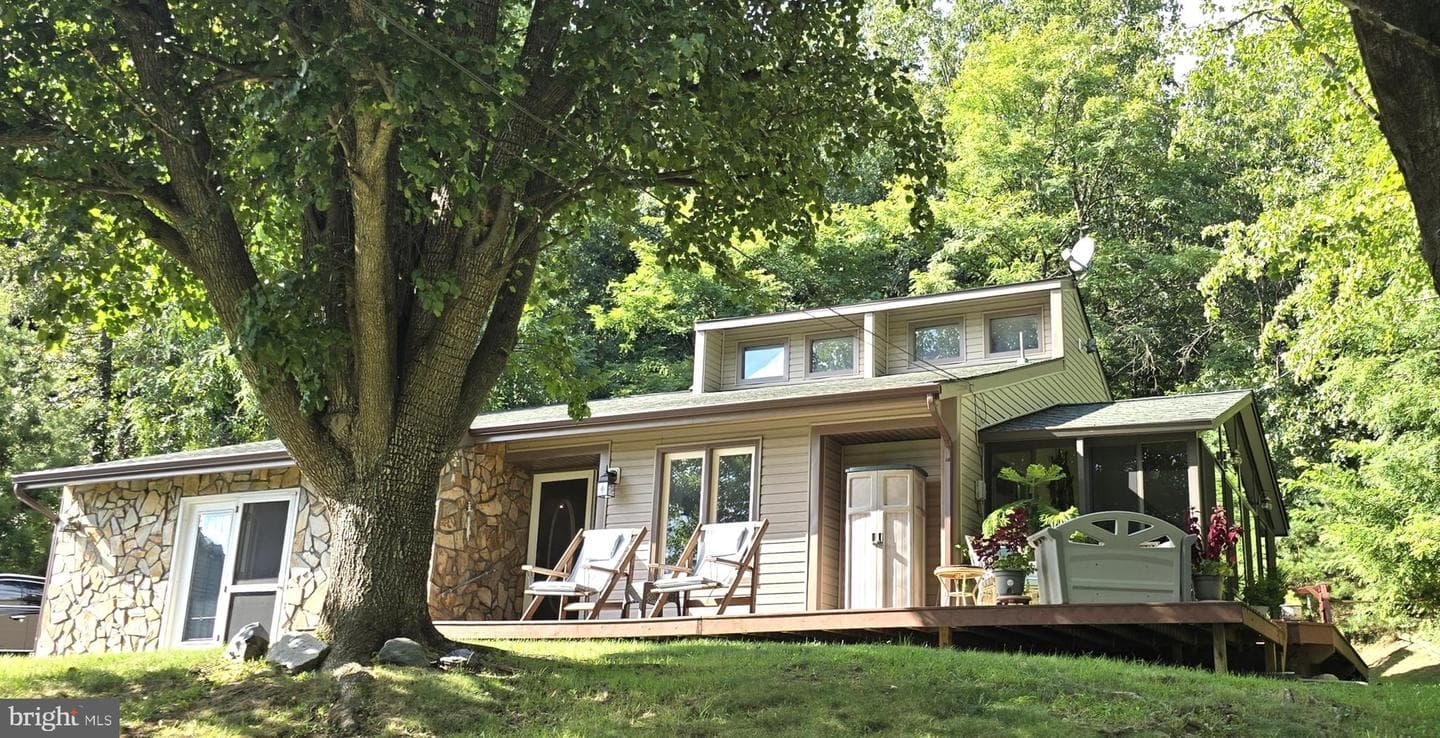 152 Richmond Road photo 3