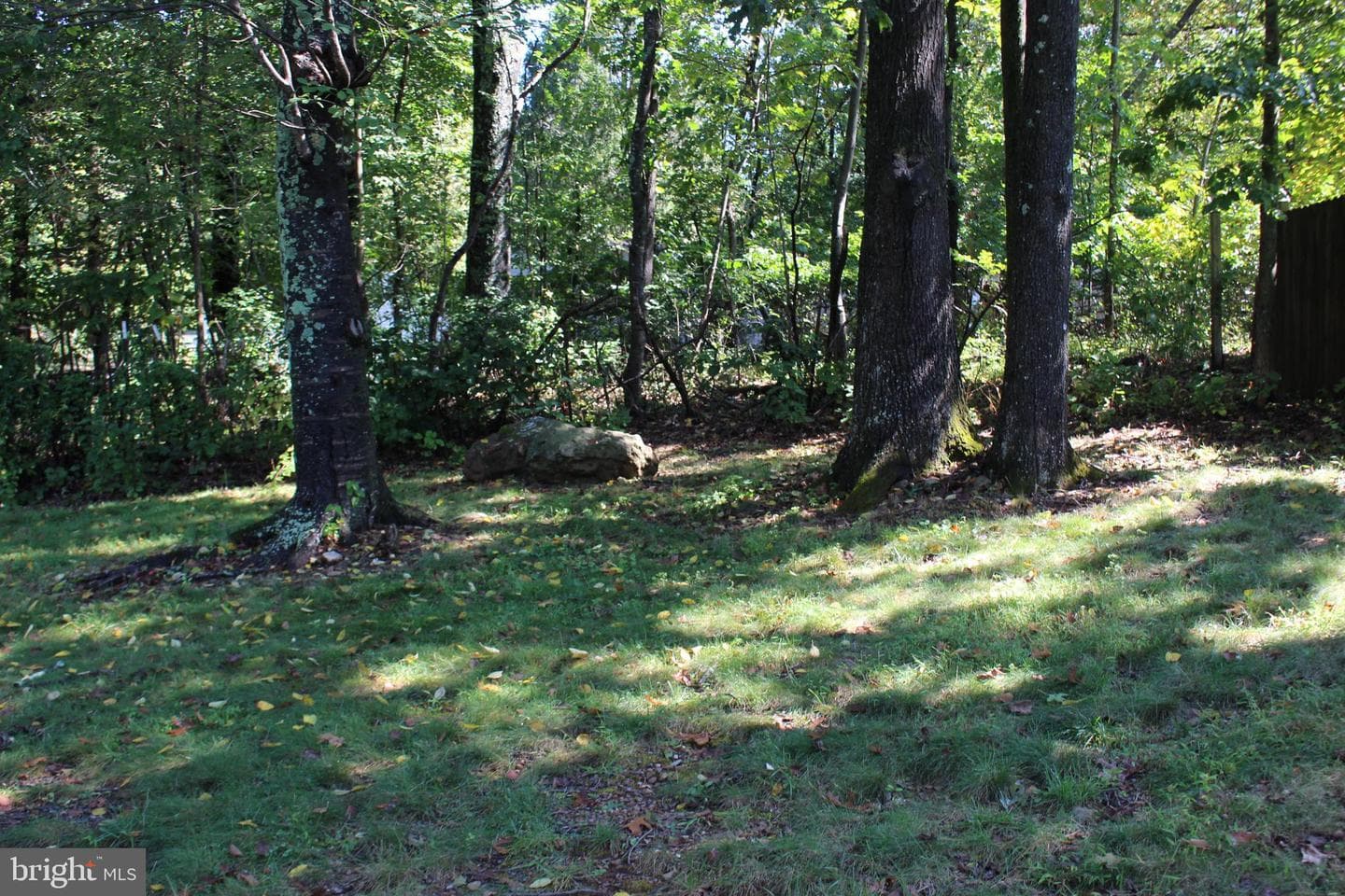 155 Forest Road photo 43