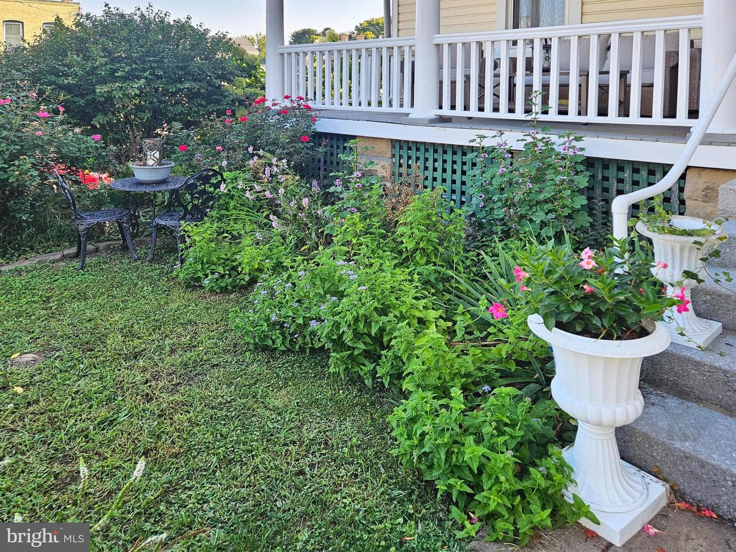 20 Blue Ridge Avenue photo 4