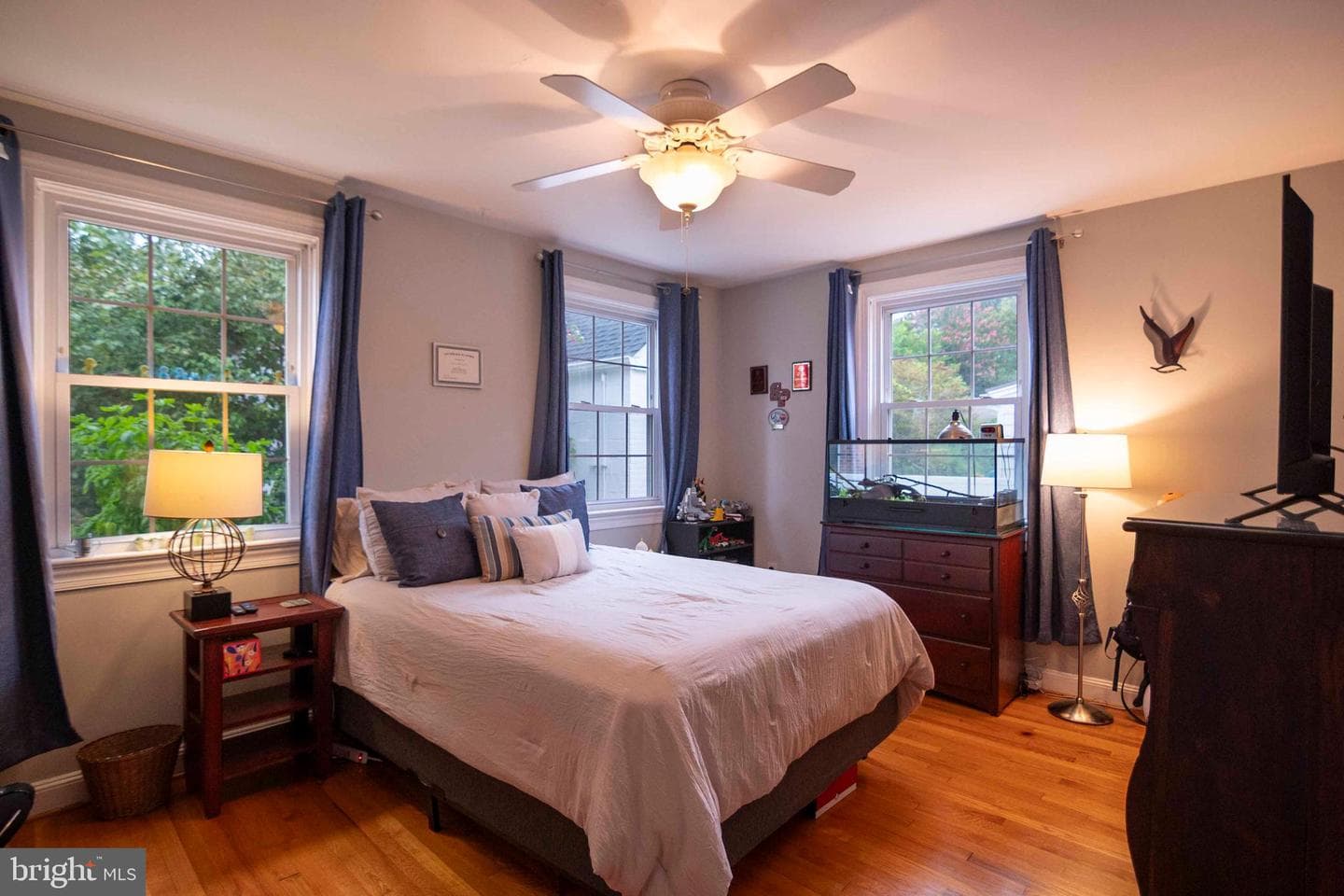 6 Massie Street photo 33