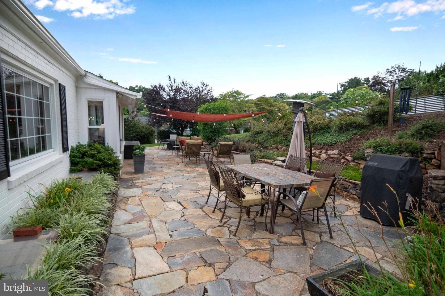 6 Massie Street photo 44