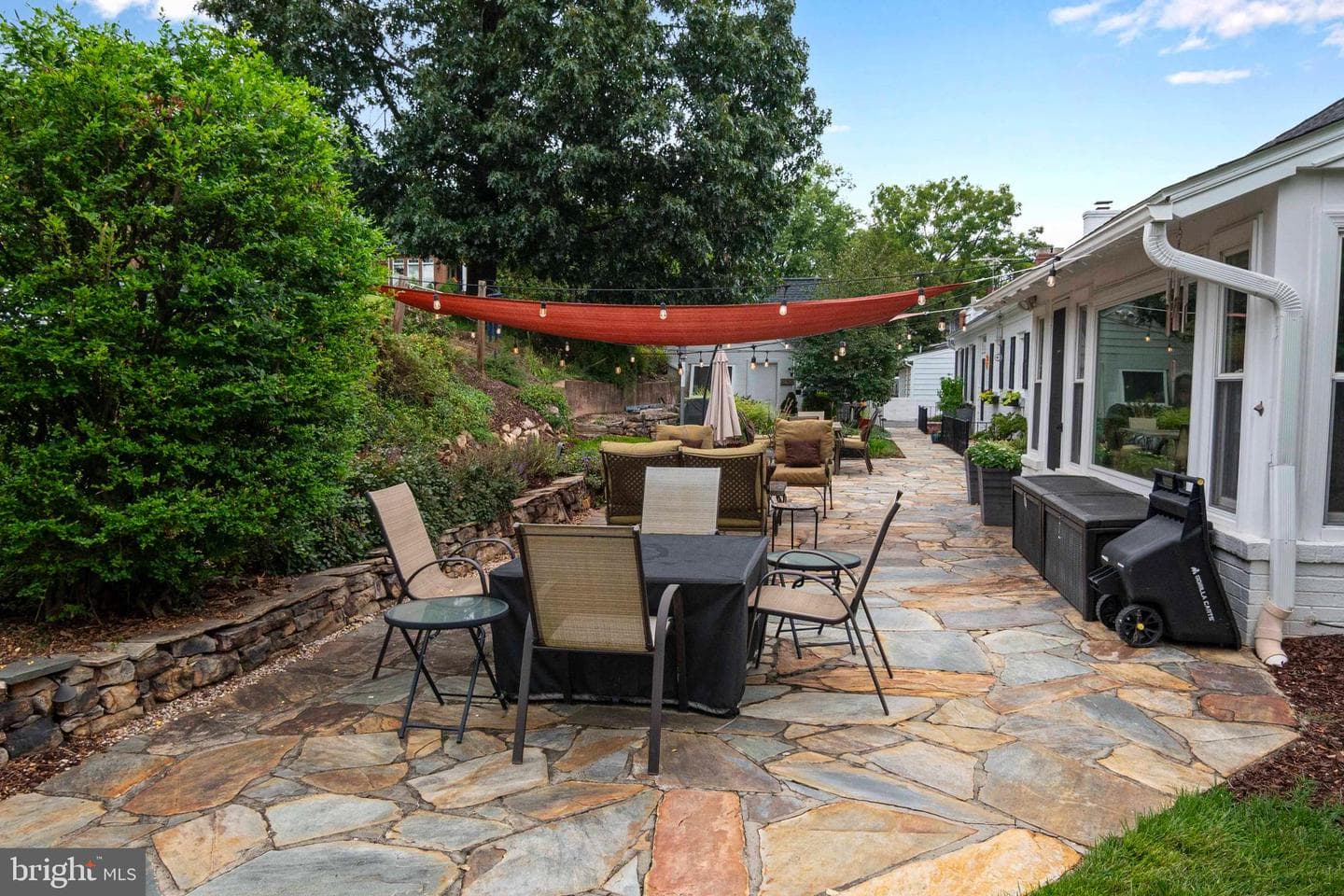 6 Massie Street photo 47