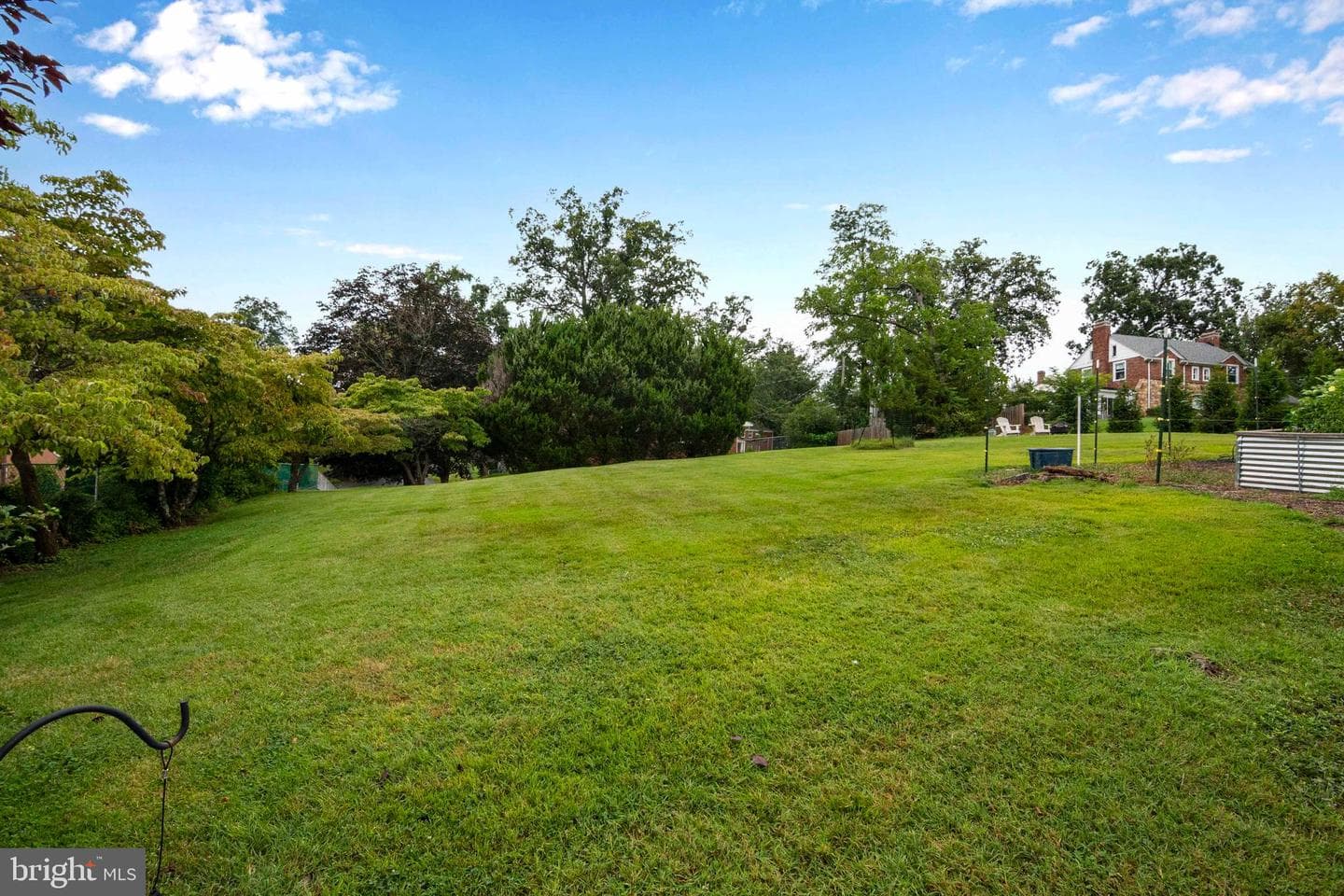 6 Massie Street photo 49