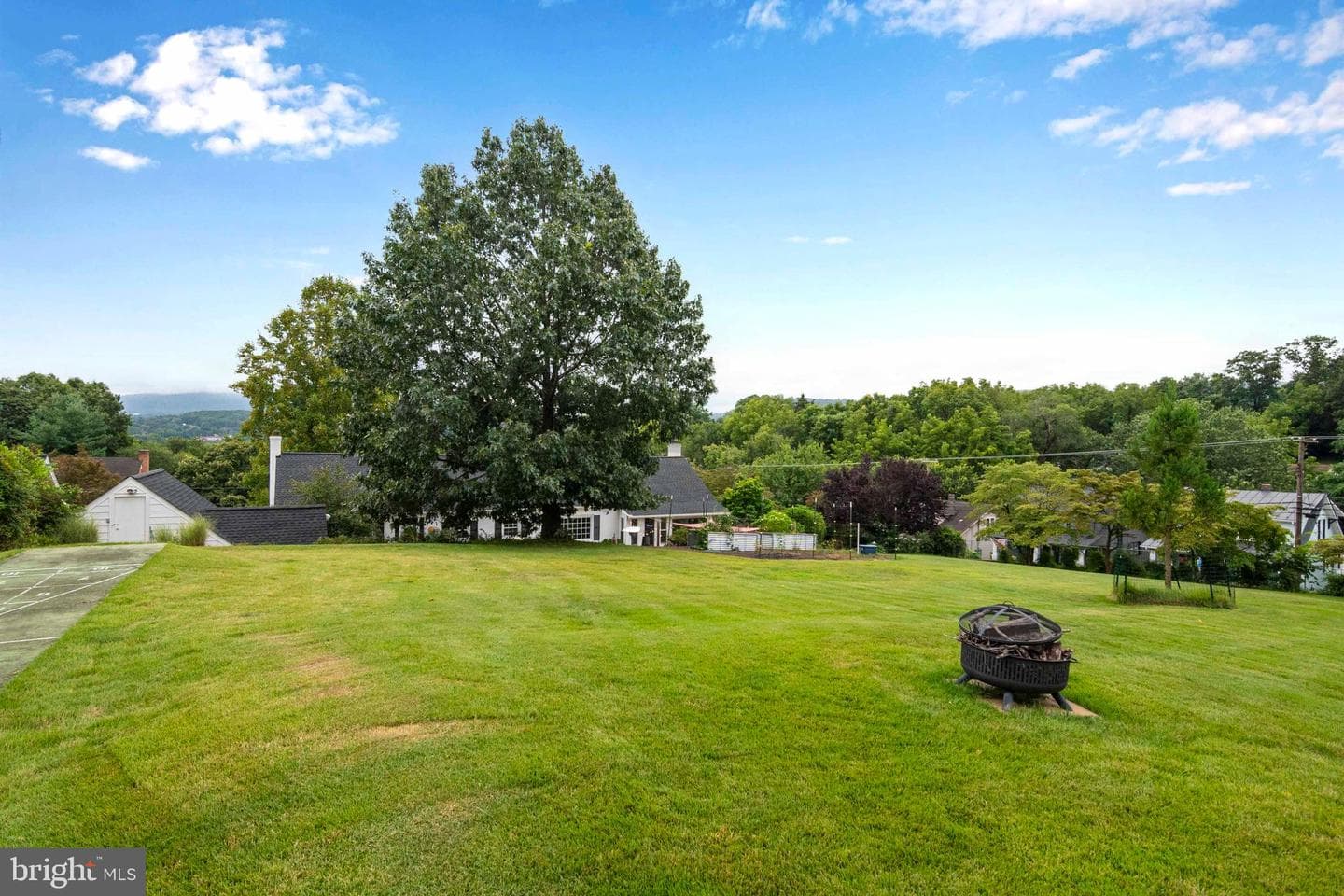 6 Massie Street photo 54