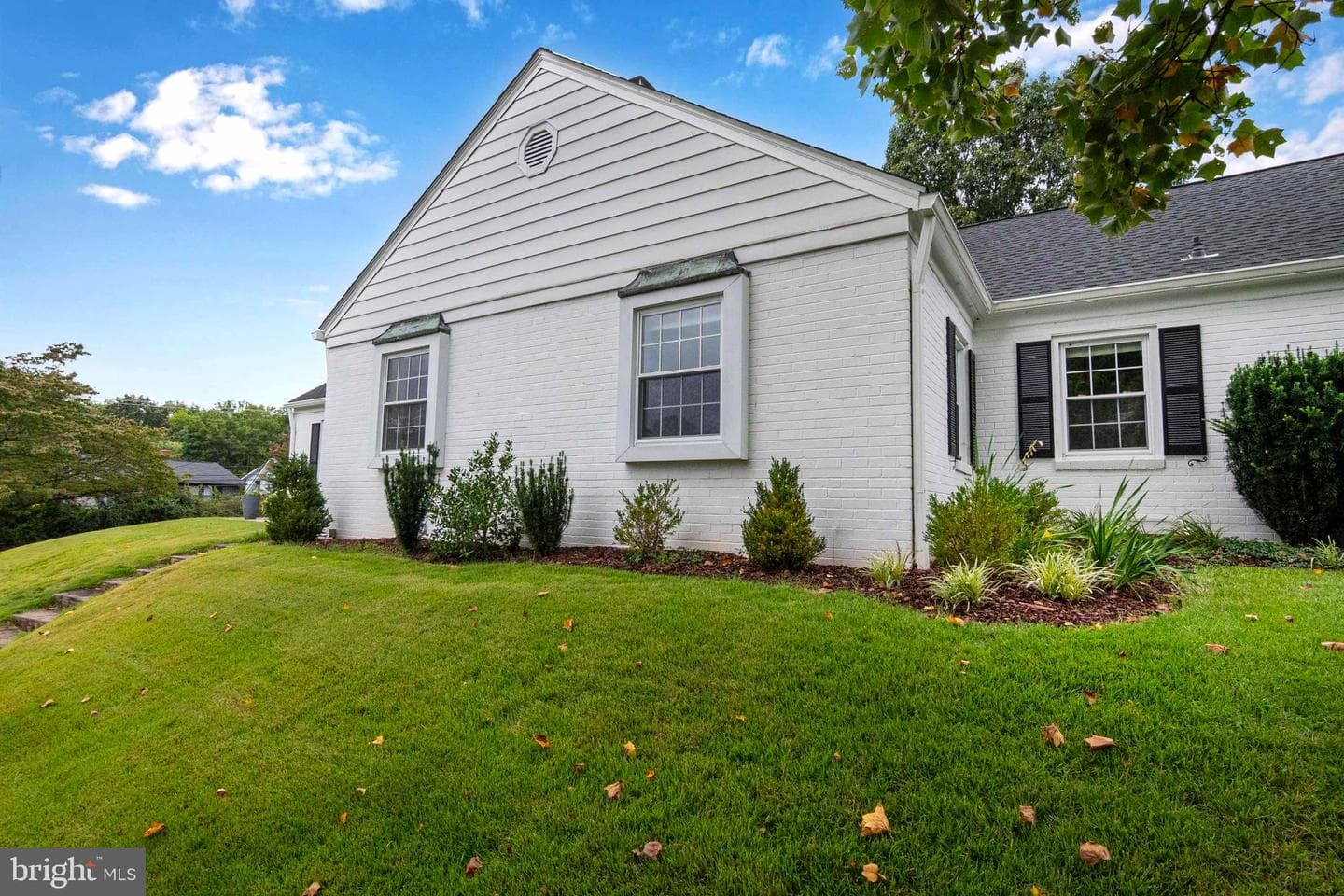 6 Massie Street photo 62