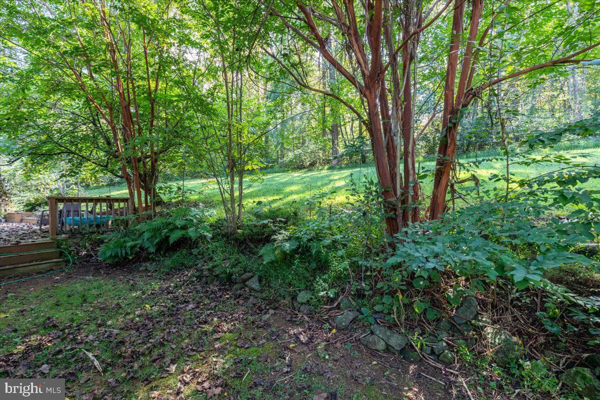 126 Locust Tree Lane photo 33