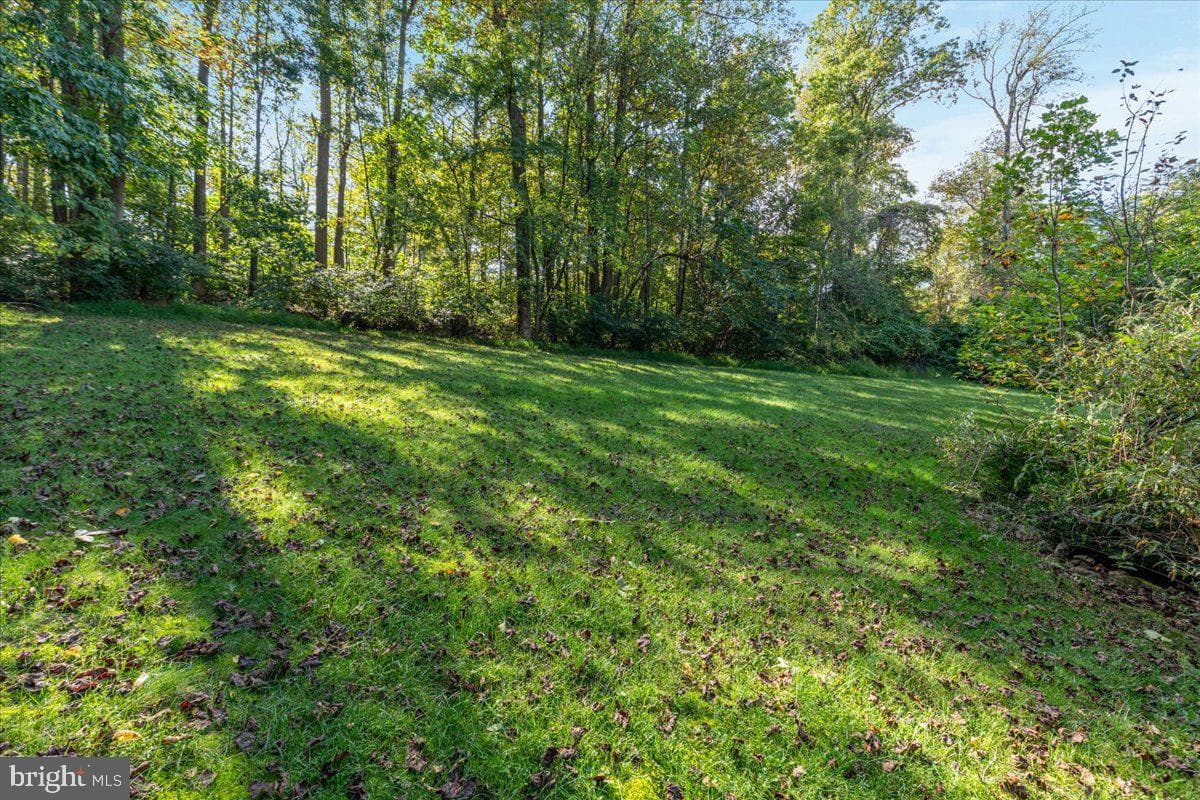 126 Locust Tree Lane photo 34