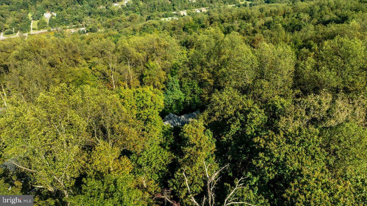 126 Locust Tree Lane photo 41