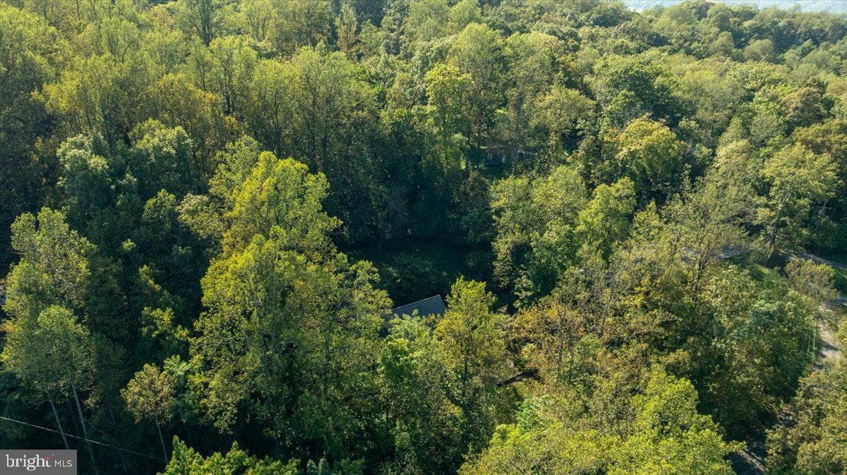 126 Locust Tree Lane photo 42