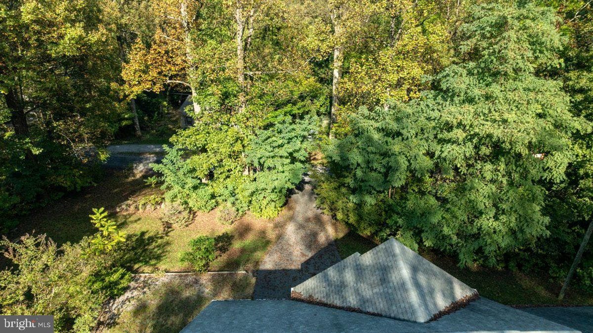 126 Locust Tree Lane photo 46