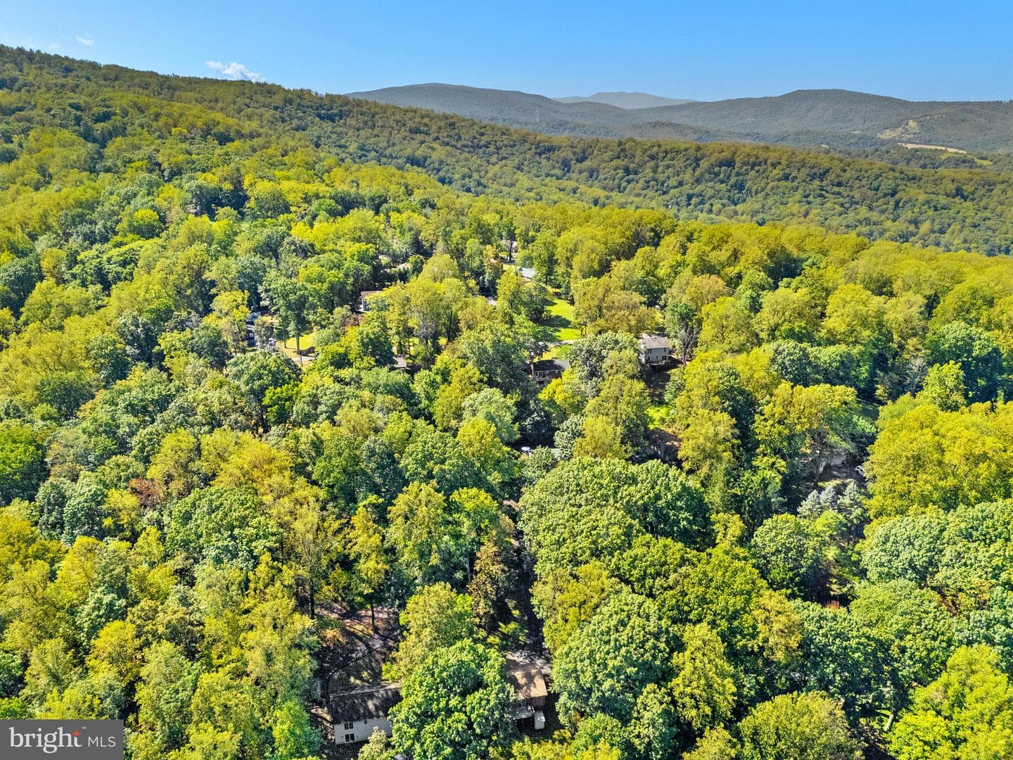 141 Pocahontas Road photo 60