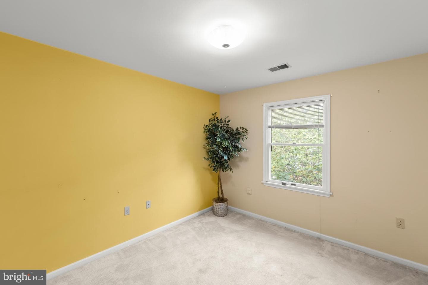 1422 Canterbury Road photo 20