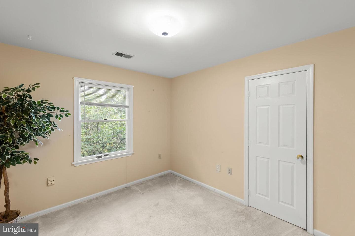 1422 Canterbury Road photo 21