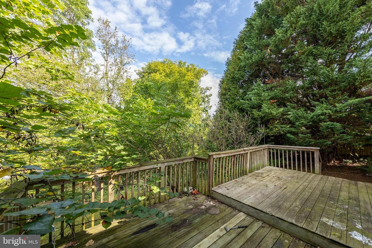 1422 Canterbury Road photo 32